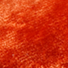 cannella