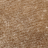 castoro