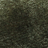 oliva