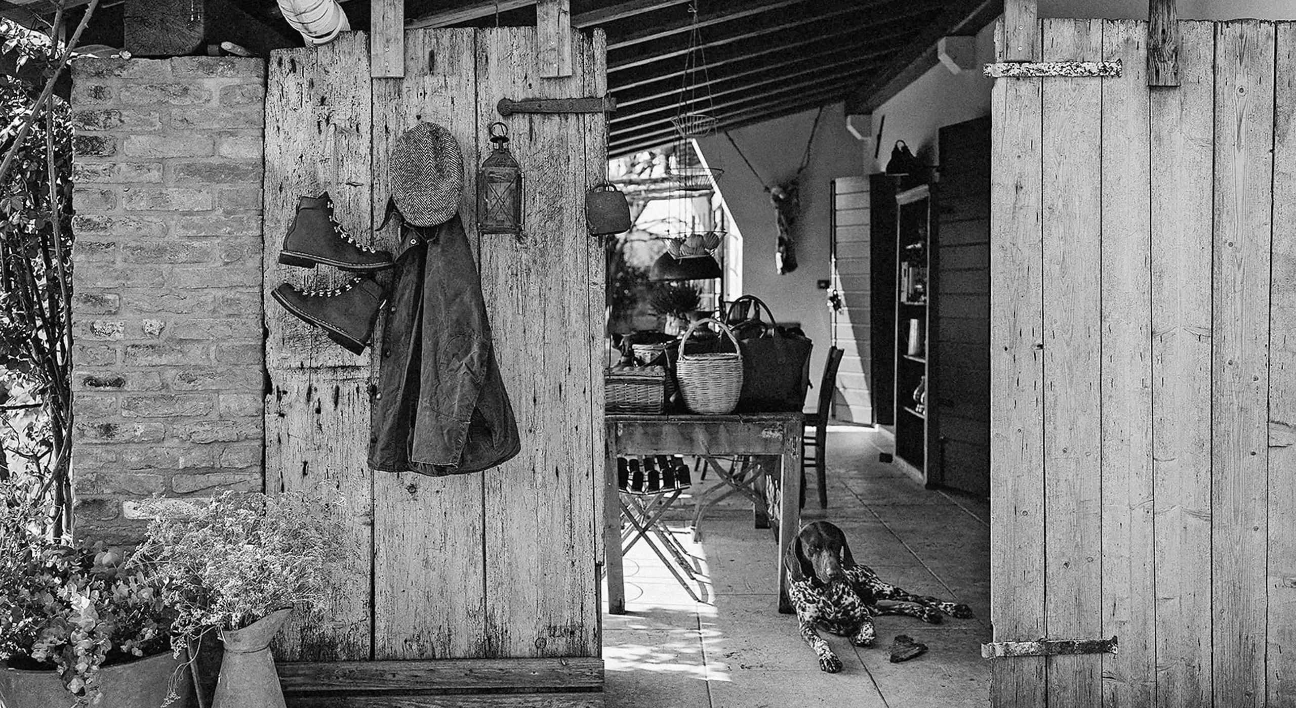 Foto cane in bianco e nero
